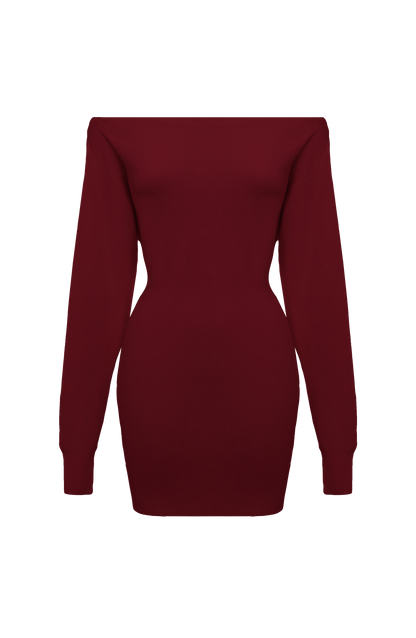 Sawyn Mini Dress in Burgundy