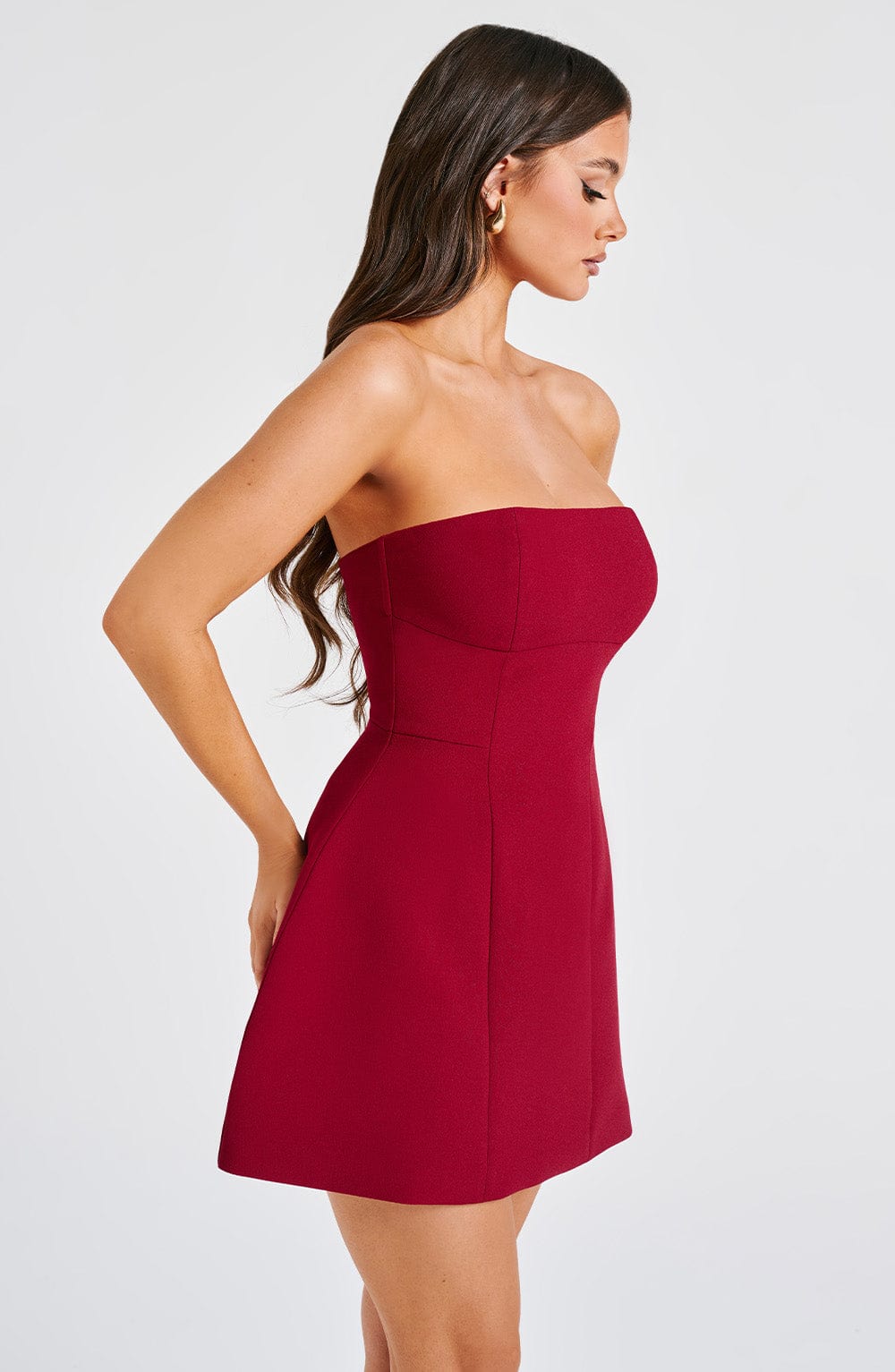 Asha Mini Dress in Wine