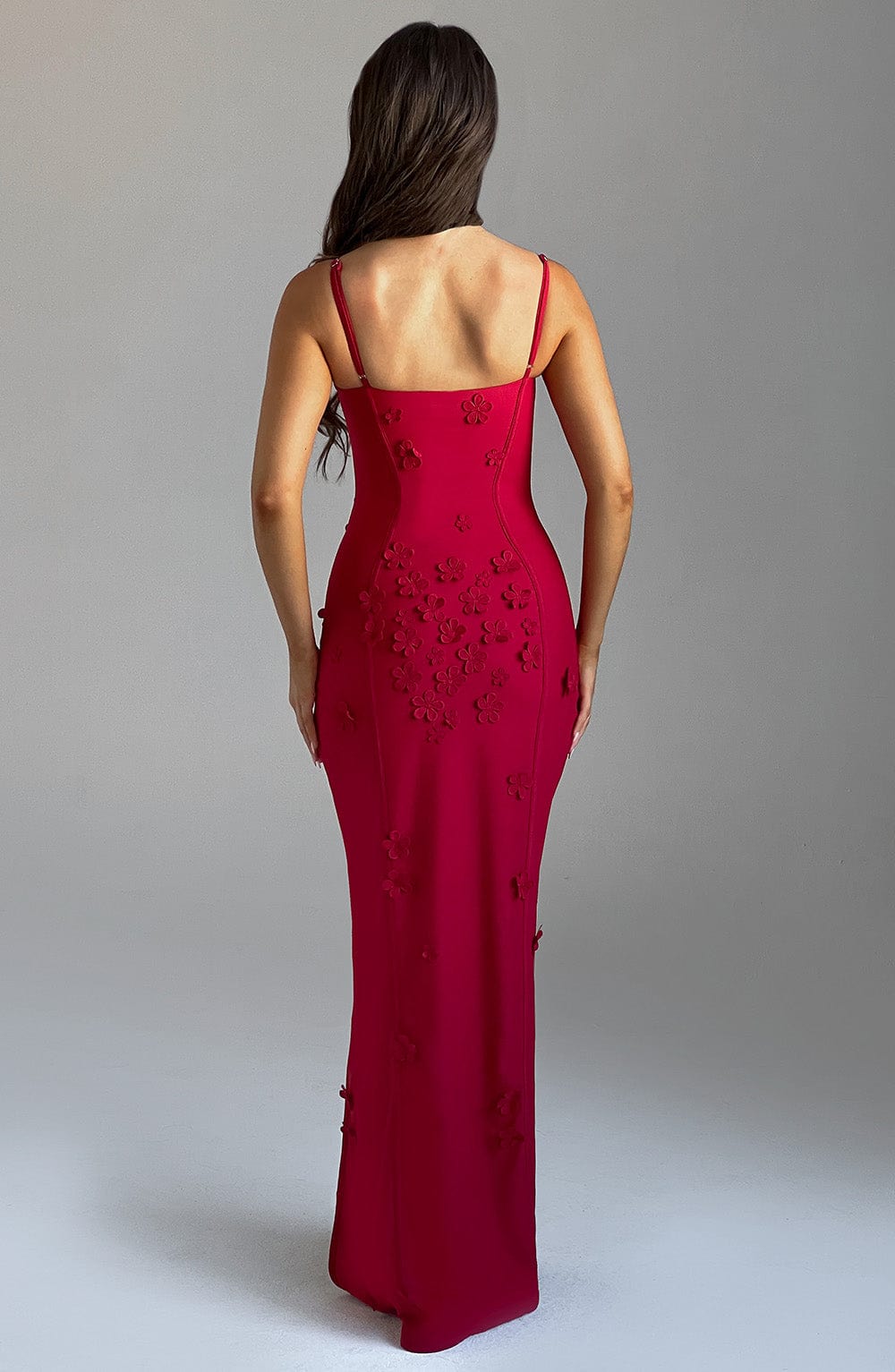 Dalyra Maxi Dress in Red Lined